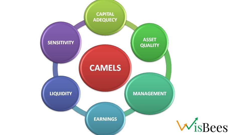 CAMELS Rating System